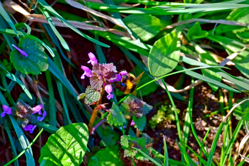 Spring 2014