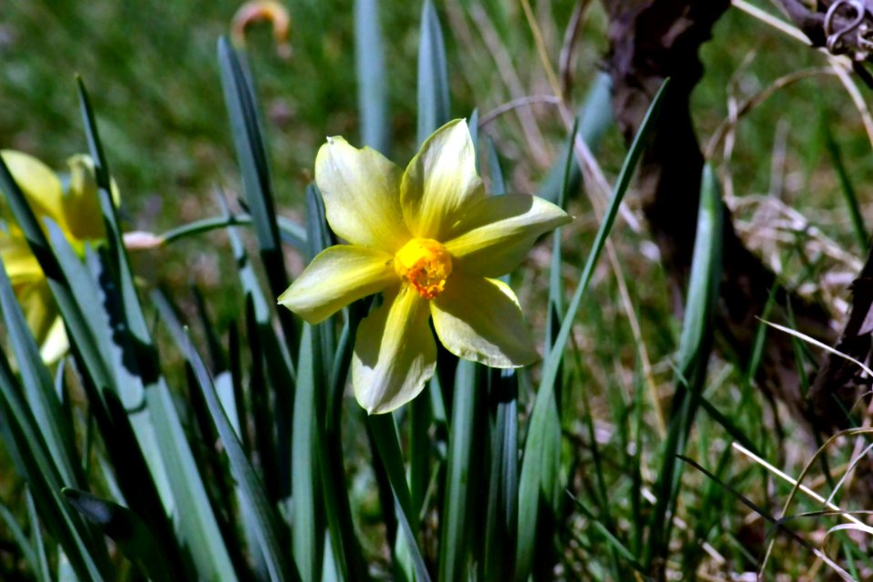 Spring 2014