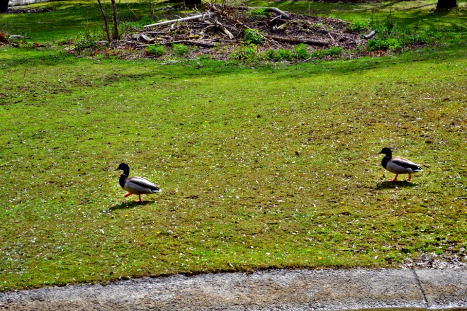 zoological garden