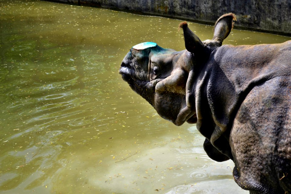 zoological garden