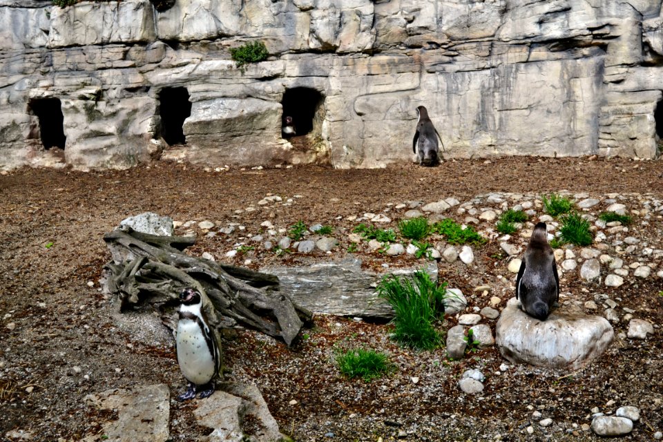 zoological garden