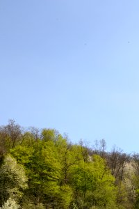 Landscape with nature