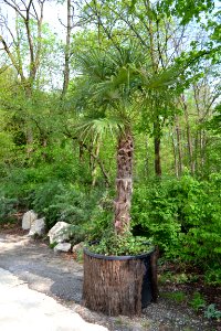 zoological garden
