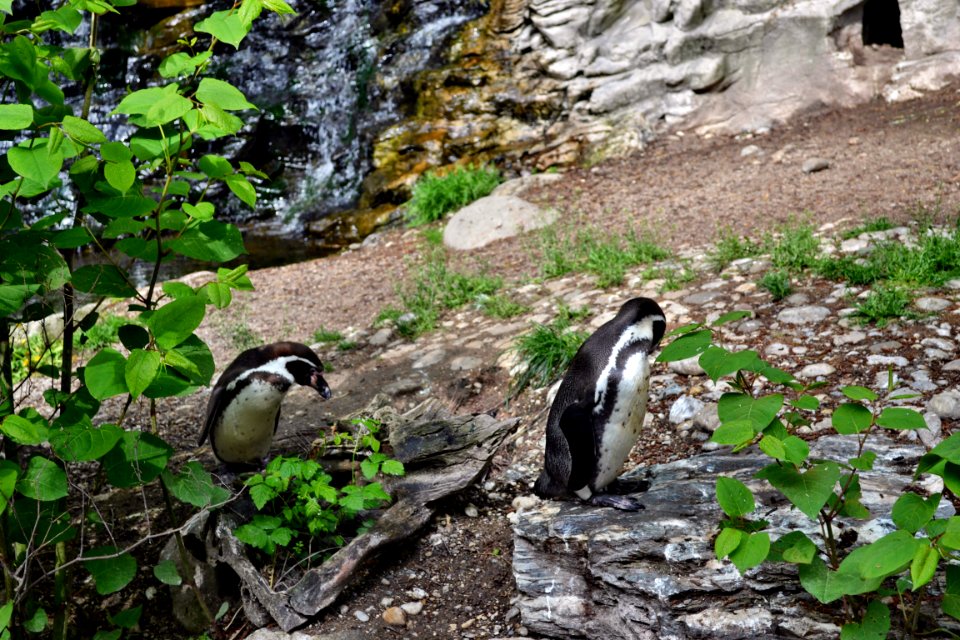 zoological garden