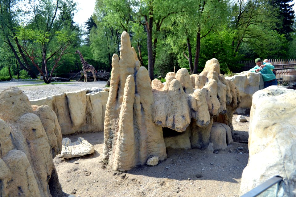 zoological garden