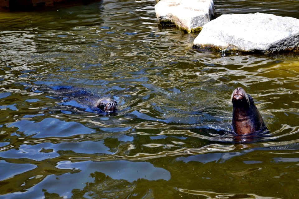zoological garden