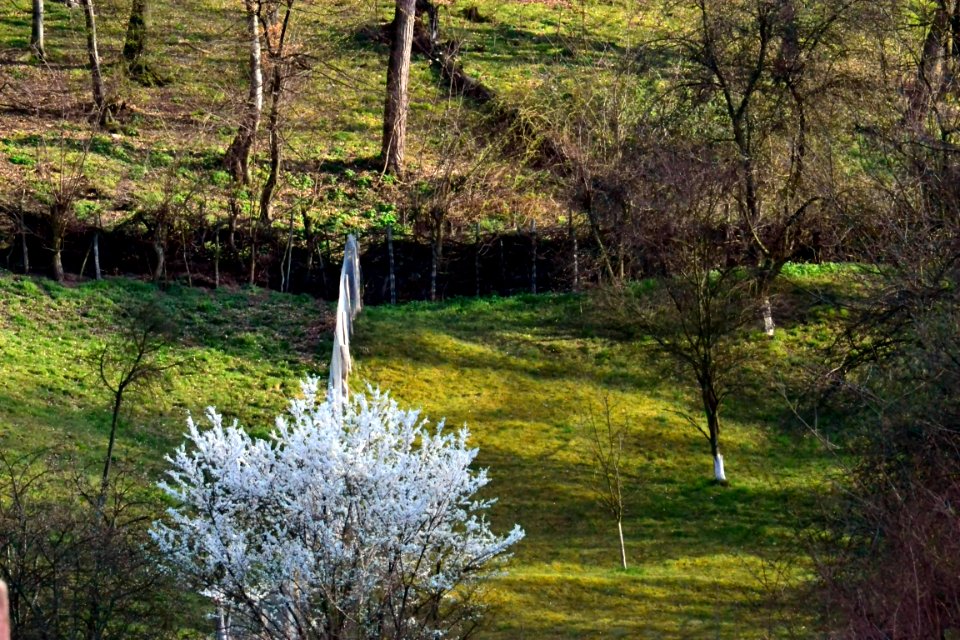 Spring 2014