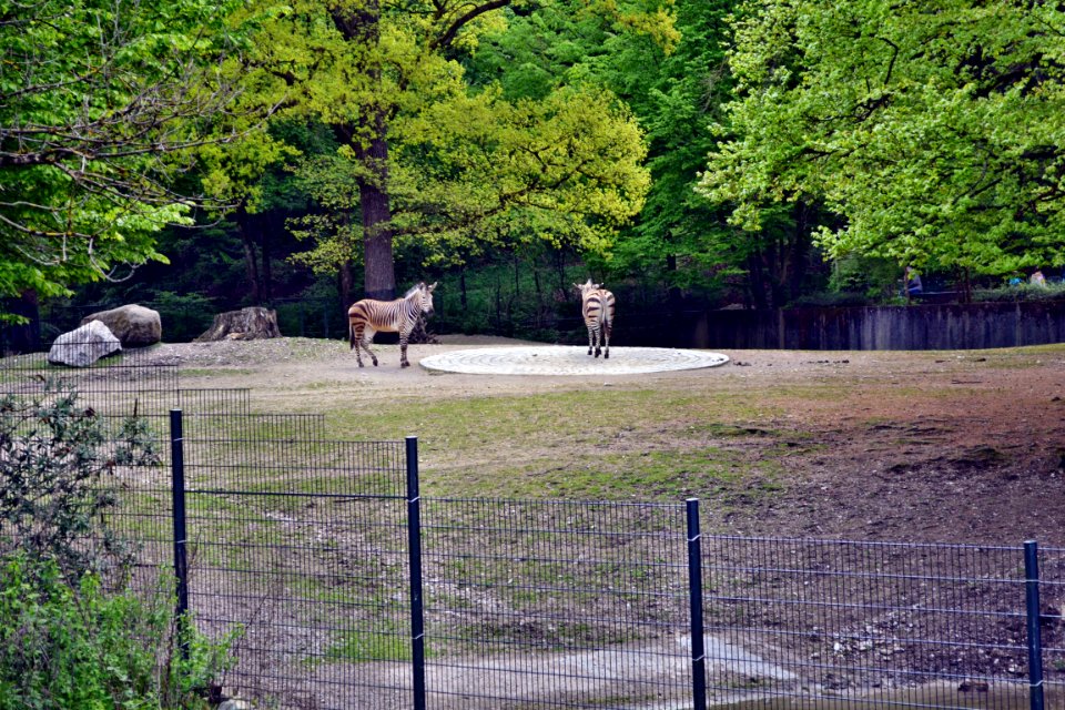 zoological garden