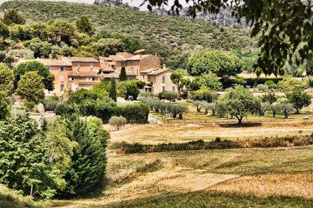 Nature south of france mediterranean photo