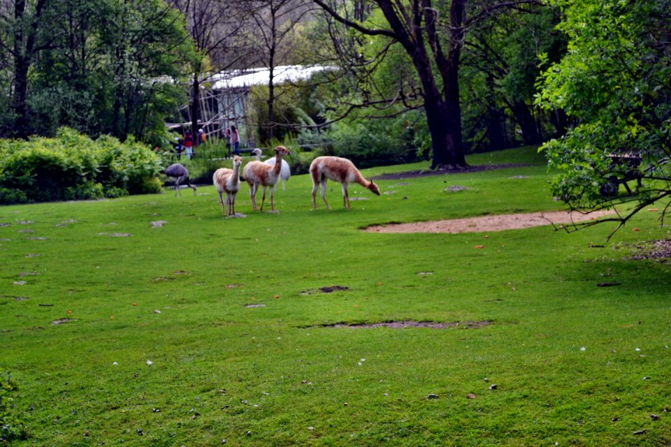 zoological garden