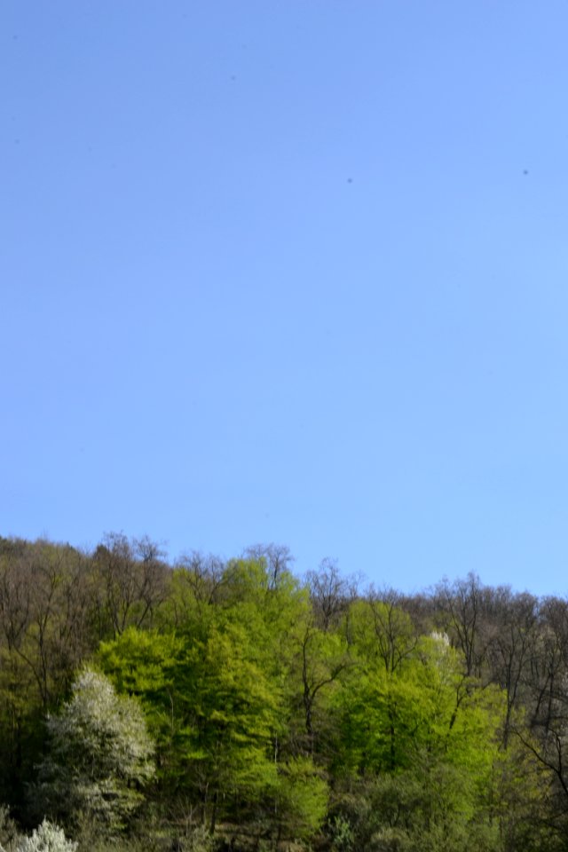 Landscape with nature