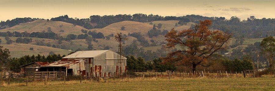 Australia farm brown farm