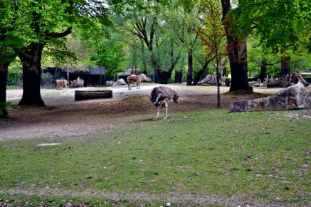 zoological garden