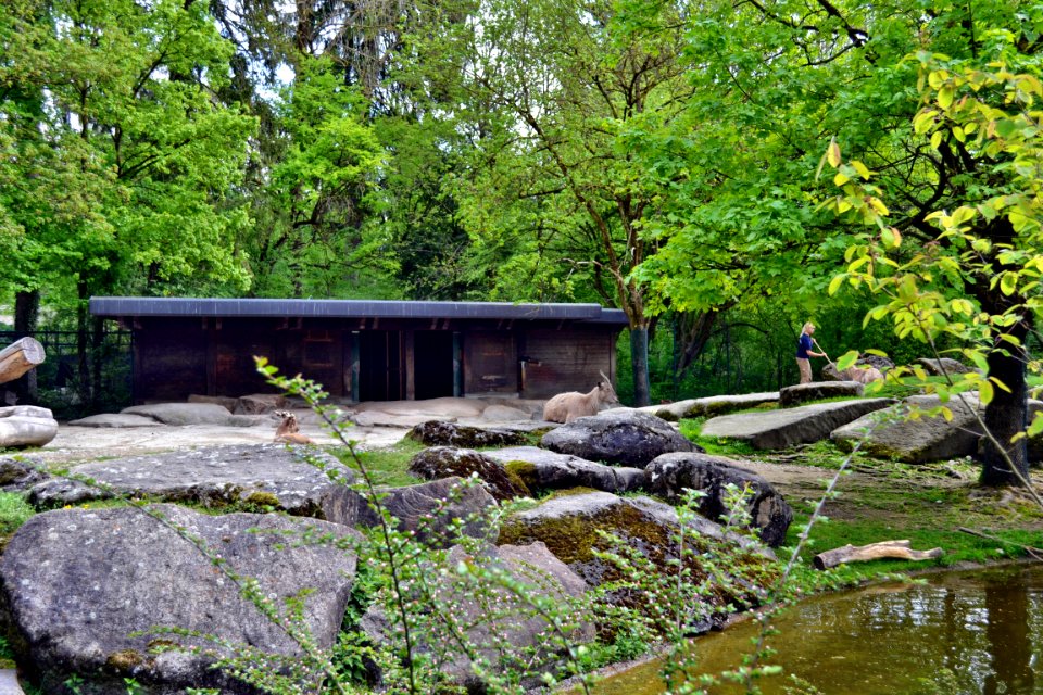 zoological garden