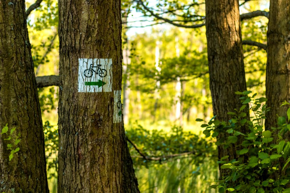 Drawieński Park Narodowy