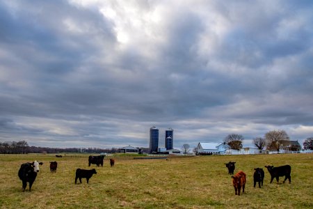 20181127-AMS-PJK-0492 TONED