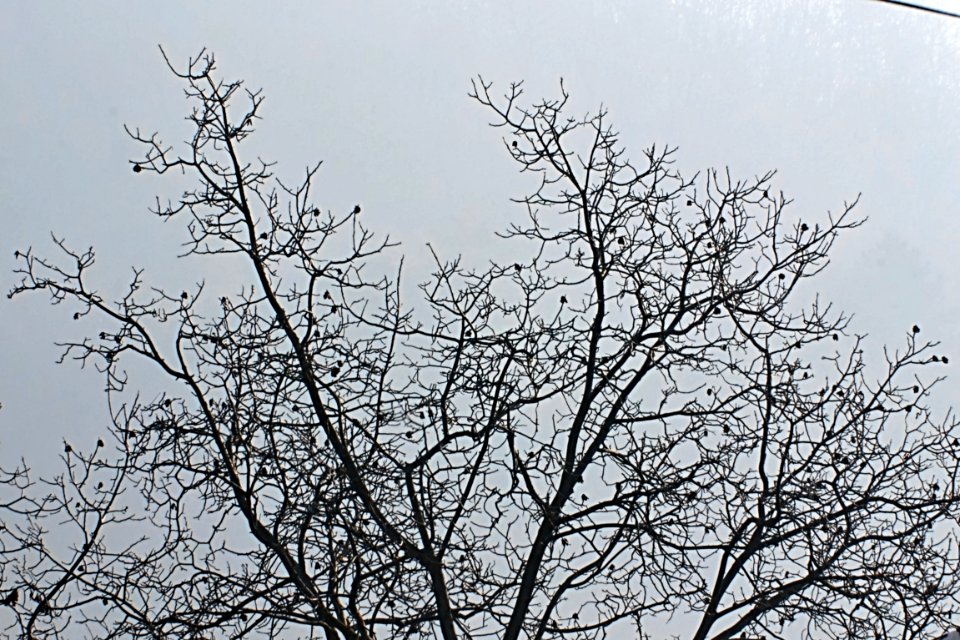 DSC 0159