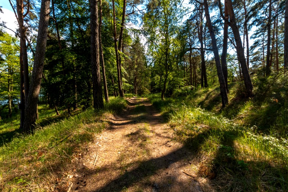 Drawieński Park Narodowy
