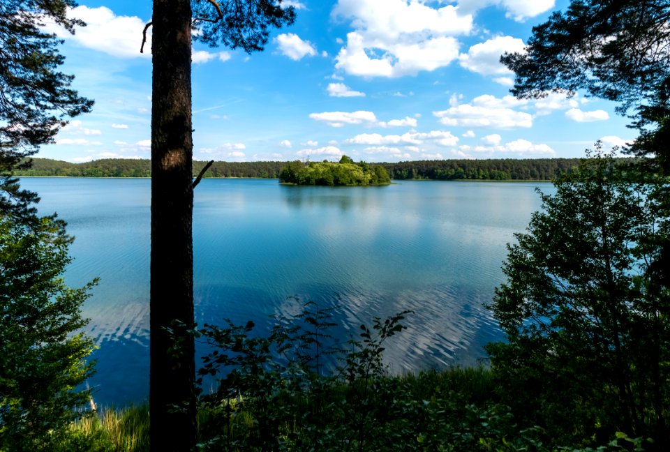 Drawieński Park Narodowy