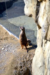 zoological garden