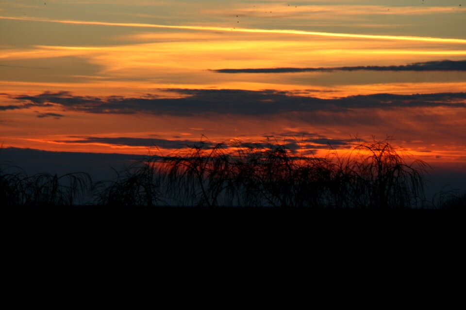 Cloud red in the evening