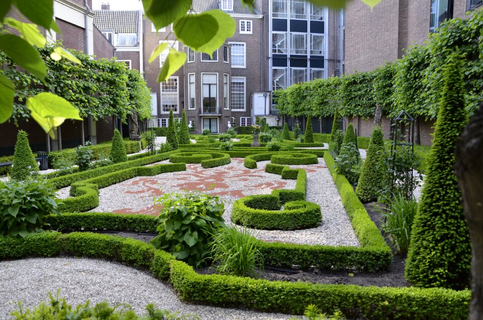 Netherlands views landscape