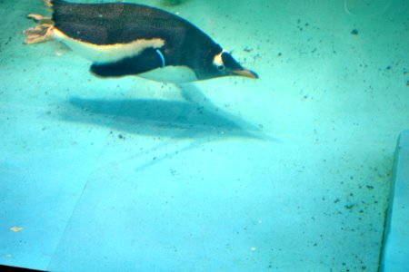 zoological garden