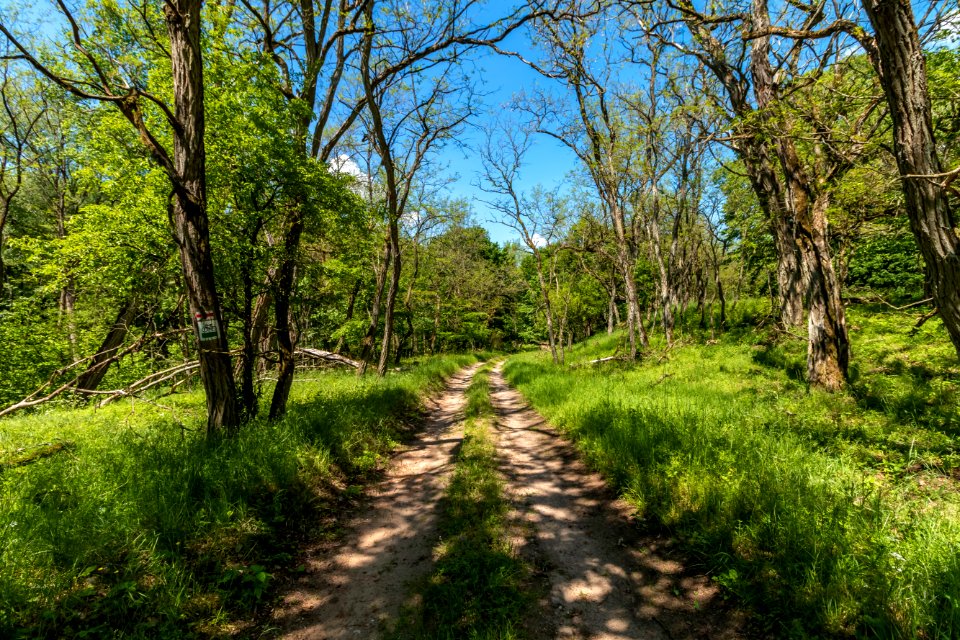 Drawieński Park Narodowy