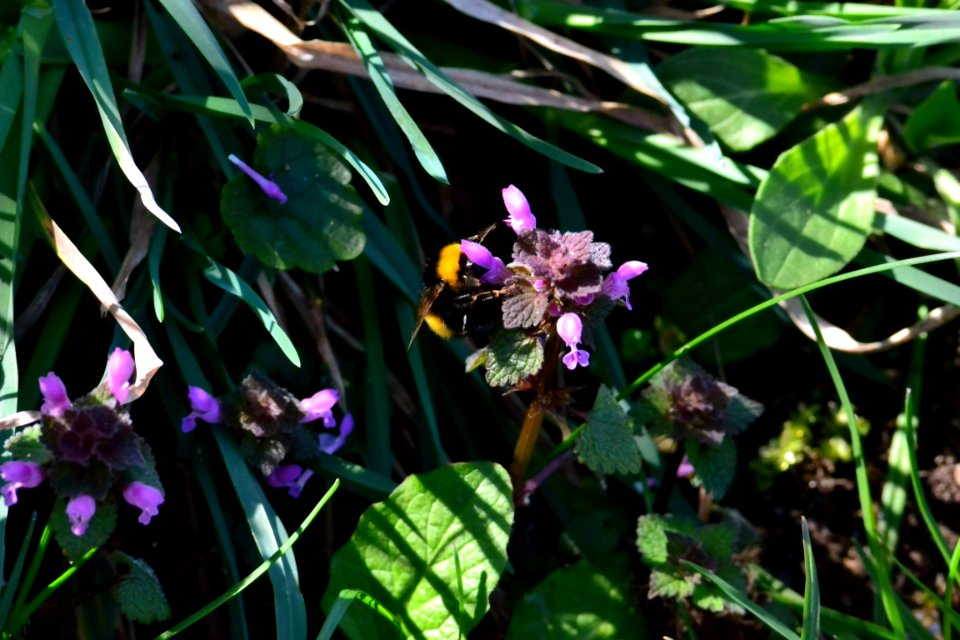 Spring 2014