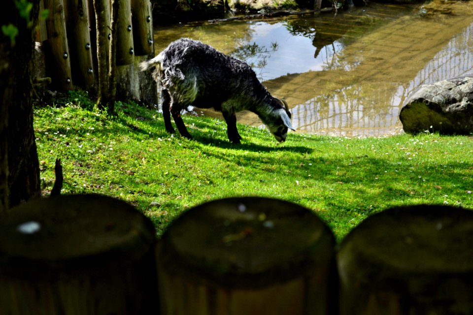 zoological garden