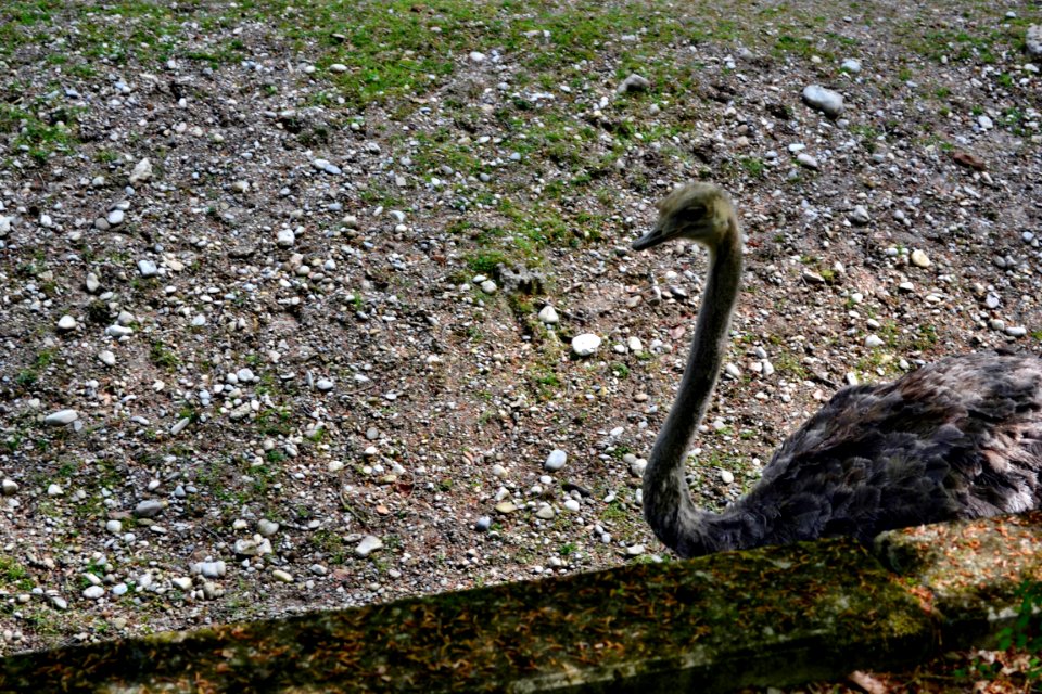 tierpark