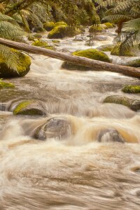 River flowing nature