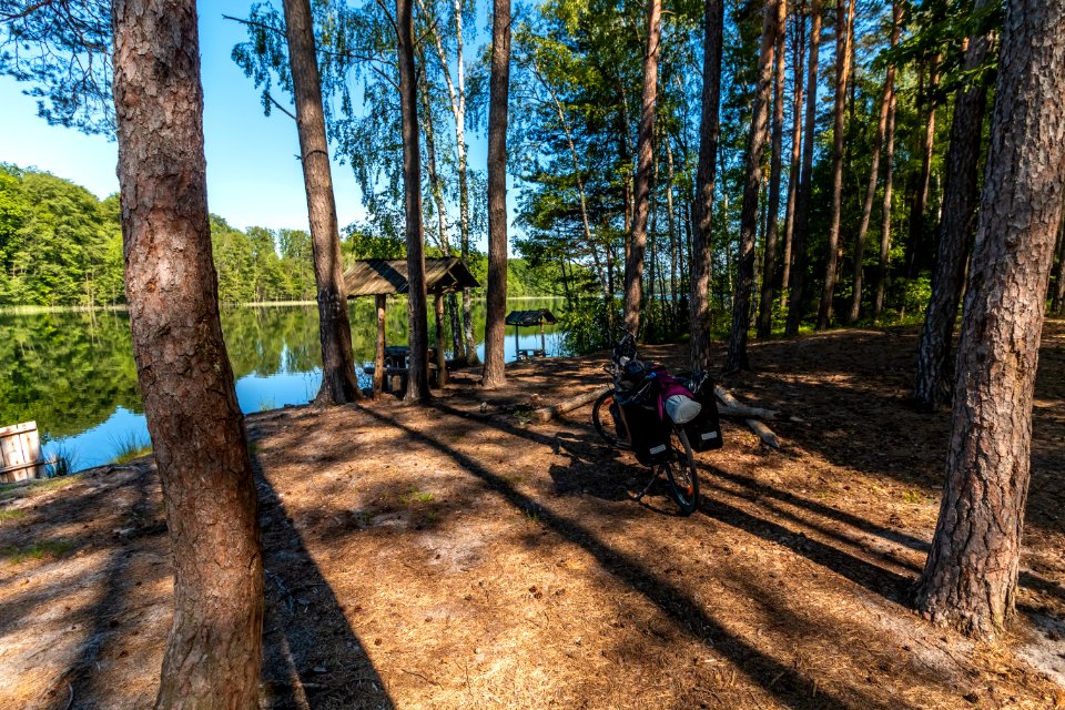 Drawieński Park Narodowy photo