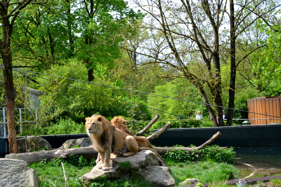 tierpark