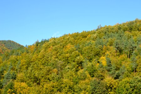 Images of autumn photo