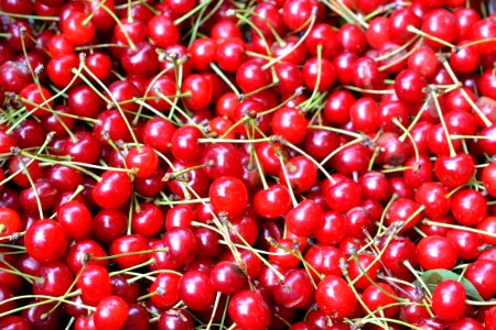 sour cherries