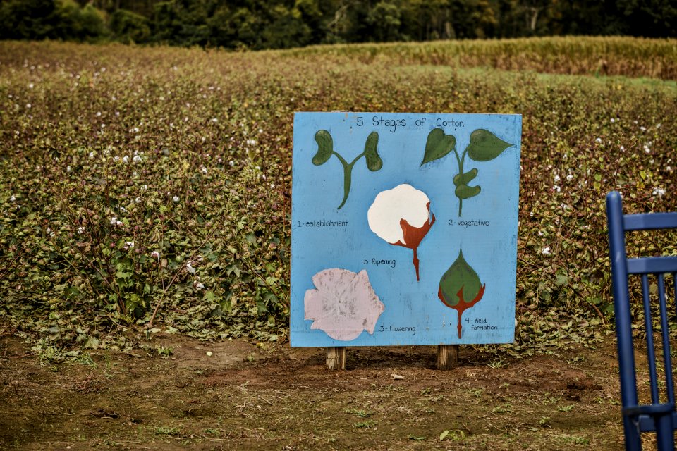 20200925-FPAC-PeeblesFarm-023