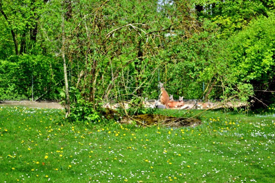 tierpark
