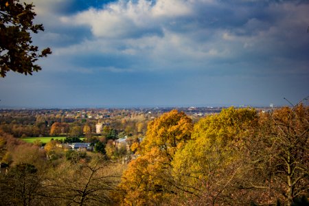 Richmond Park