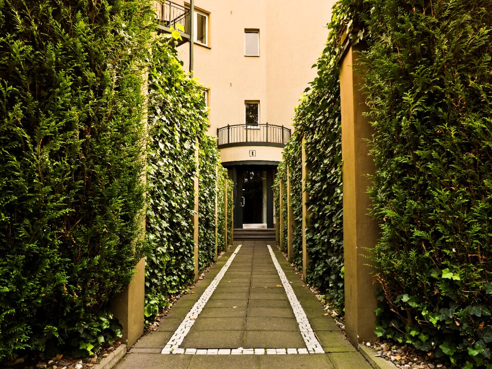 Architecture building road