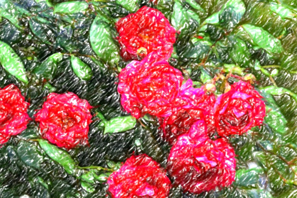 flowers (52)-crayon
