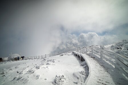 Snow landscape winter