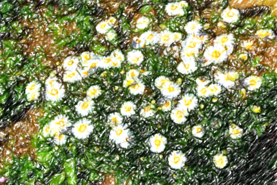 flowers (74)-crayon