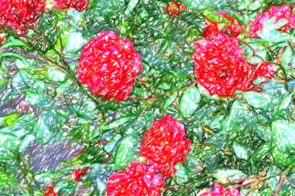 flowers (49)-crayon