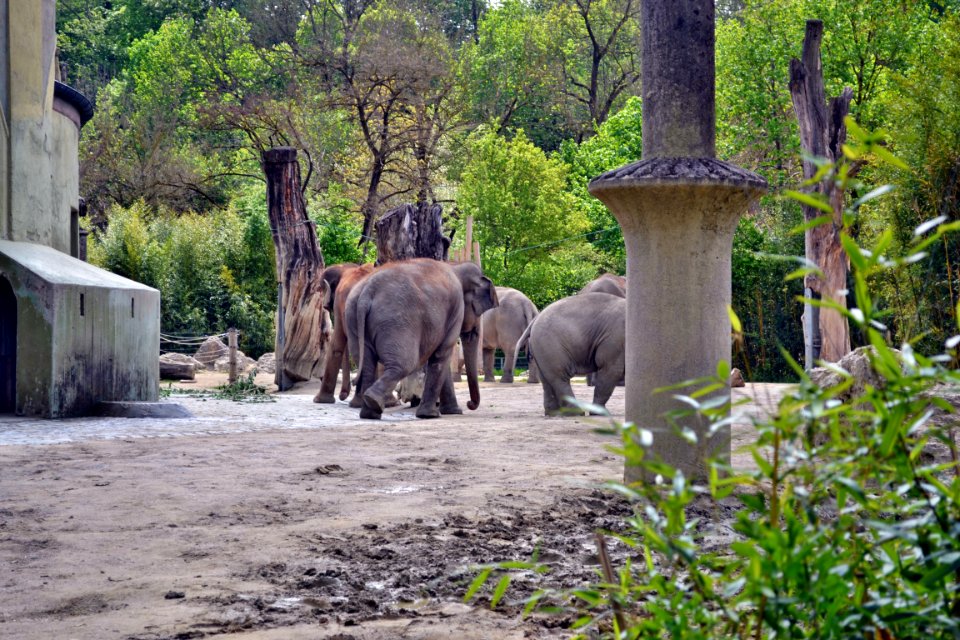 tierpark