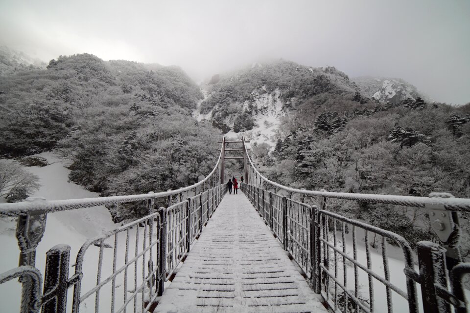 Snow landscape winter