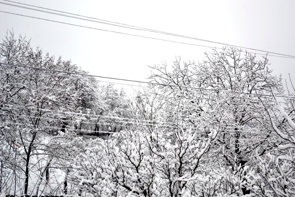 December 28, 2014