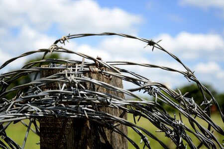 Barbed wire farm barbs photo