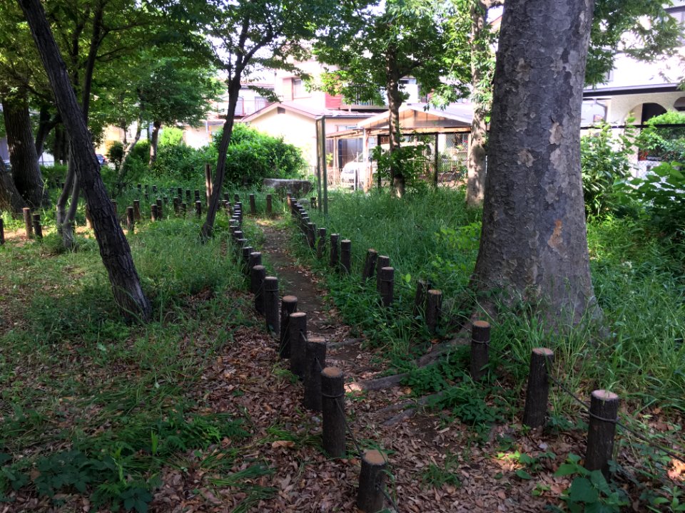 Kurinoki Forest Park in Oizumigakuencho, Nerima-ku