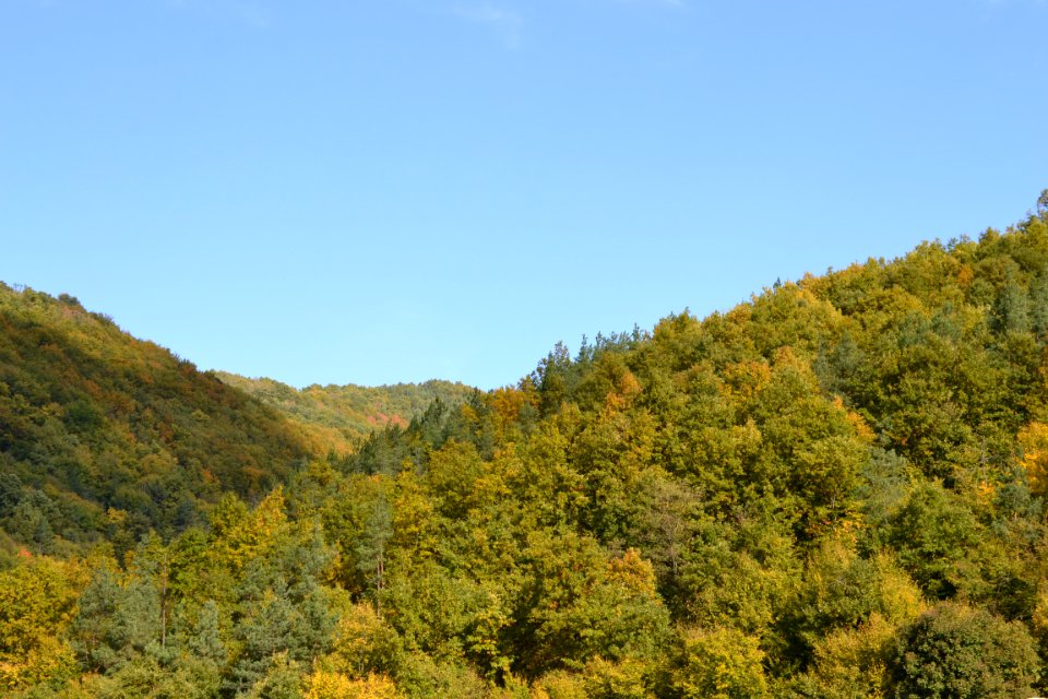 Nature